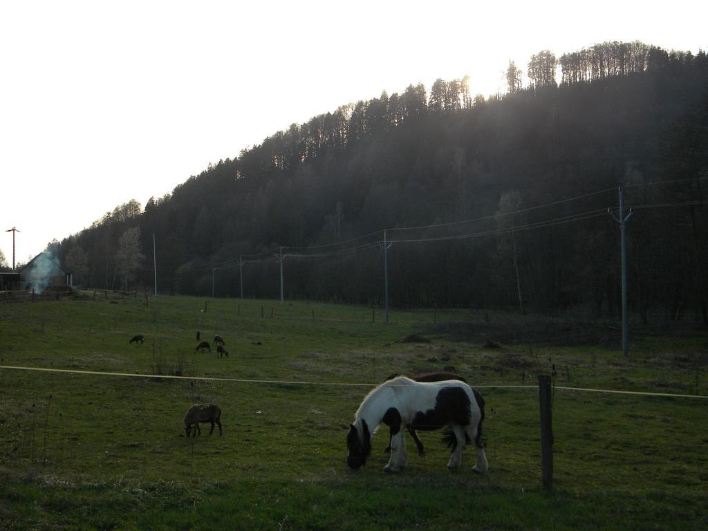 Penzion a apartmány Skipark Hraběšice Krasne Exterior foto